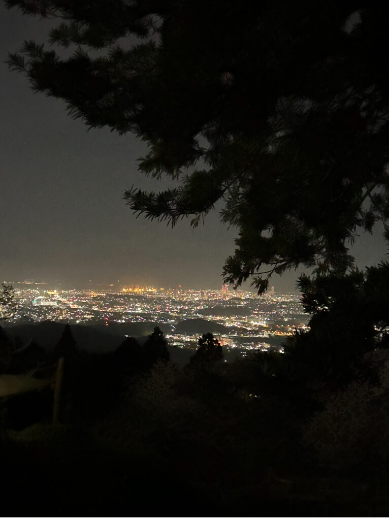 若杉楽園キャンプ場からの夜景